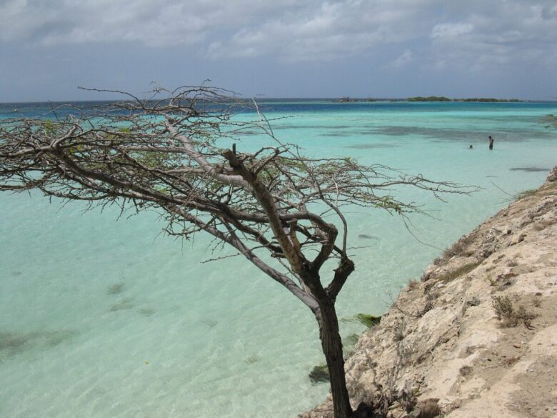 aruba-spiaggia aruba-spiaggia