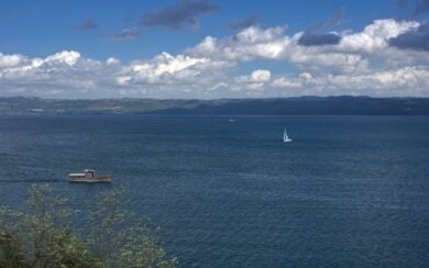 Festa delle Ortensie di Bolsena 2026: info, dove e quando