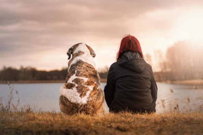 cani amici cani amici