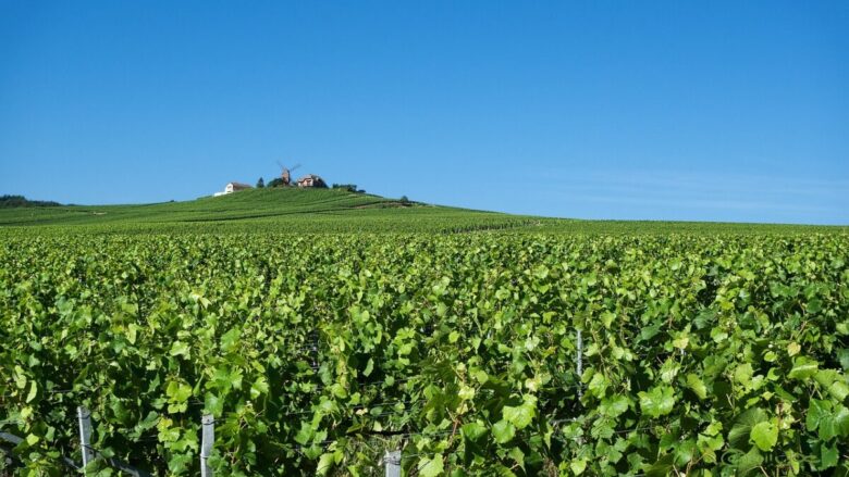 reims-champagne reims-champagne