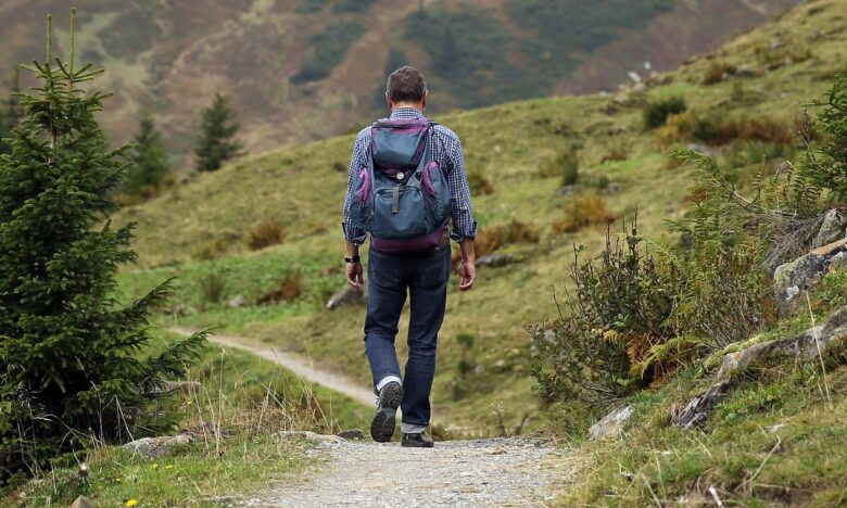 Escursioni via Francigena