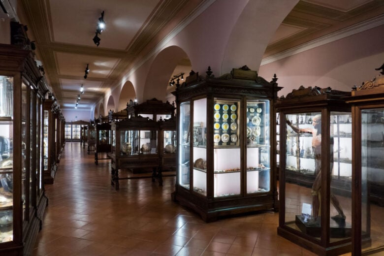 MUSA Museo universitario della Scienza e delle Arti - Napoli MUSA Museo universitario della Scienza e delle Arti - Napoli