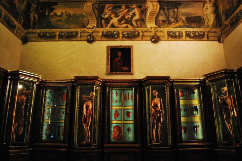 Museo di Palazzo Poggi - Bologna Museo di Palazzo Poggi - Bologna