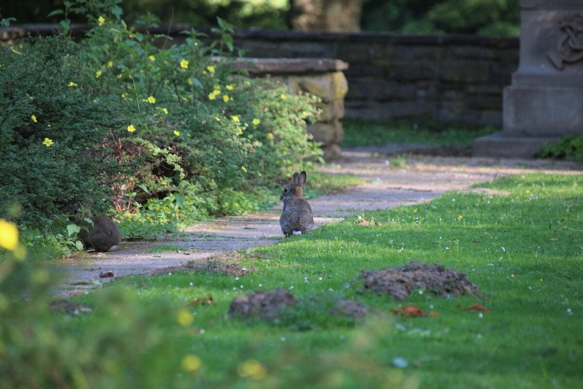 In questo parco puoi trascorrere un’intensa giornata insieme a tutta la famiglia tra teneri animali e resti archeologici
