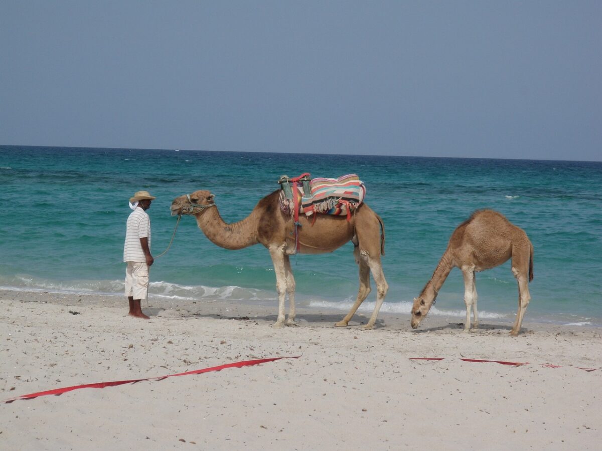 Imperdibile sconto fino al 30% sui tuoi prossimi viaggi in Marocco e Tunisia