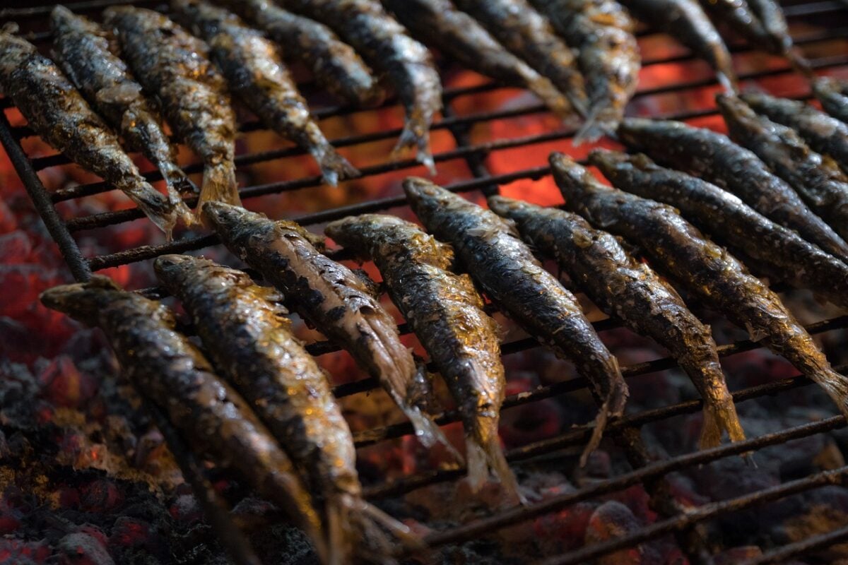 cosa mangiare a setubal cosa mangiare a setubal
