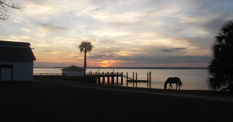 cumberland-island cumberland-island