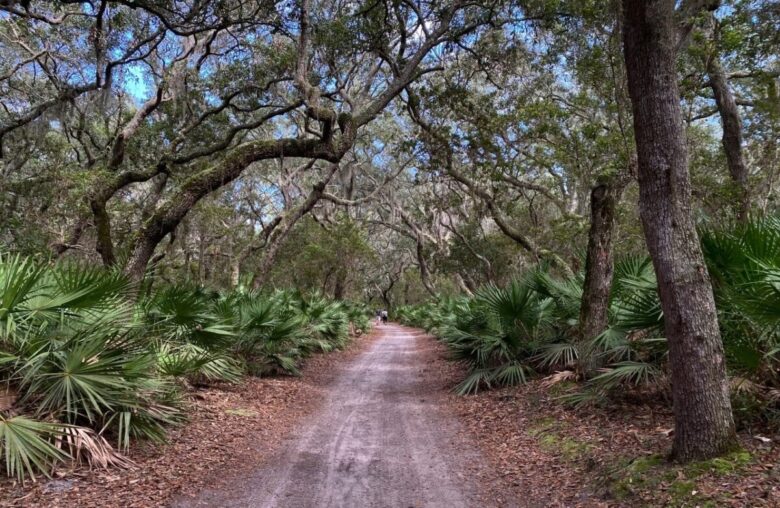 cumberland-island2 cumberland-island2