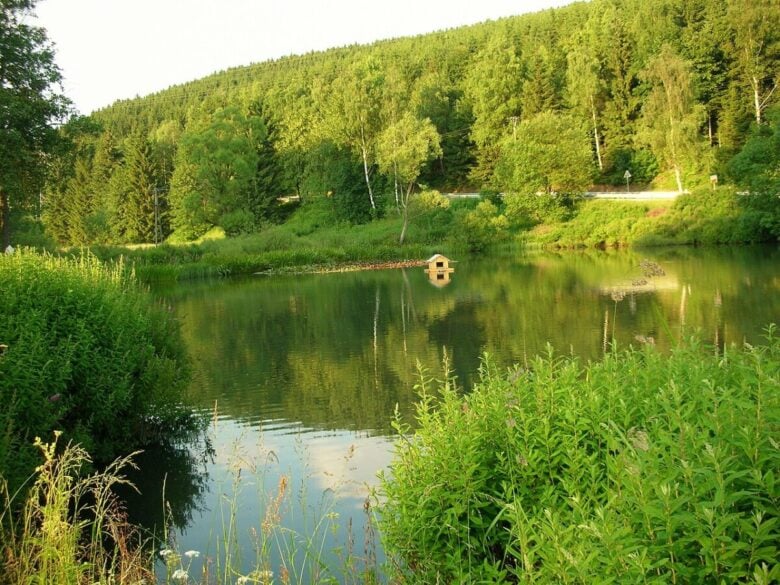 Oberland-svizzera Oberland-svizzera