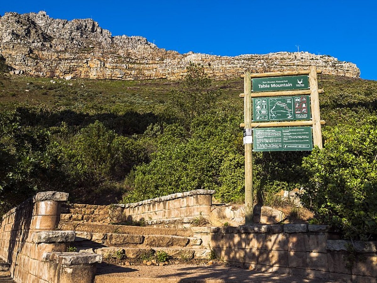 Esplora i parchi urbani più grandi del mondo: natura e relax nelle metropoli