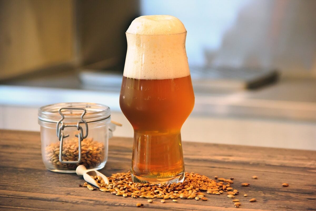 nuova attrazione bruxelles birra nuova attrazione bruxelles birra