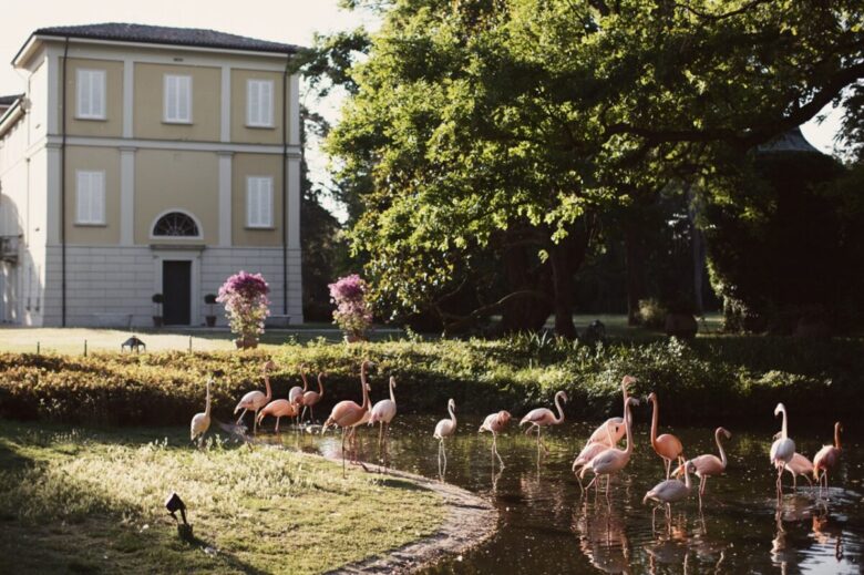 villa-abbondanzi-fenicotteri villa-abbondanzi-fenicotteri
