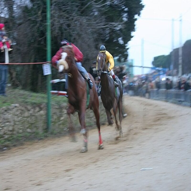 Corsa_palio