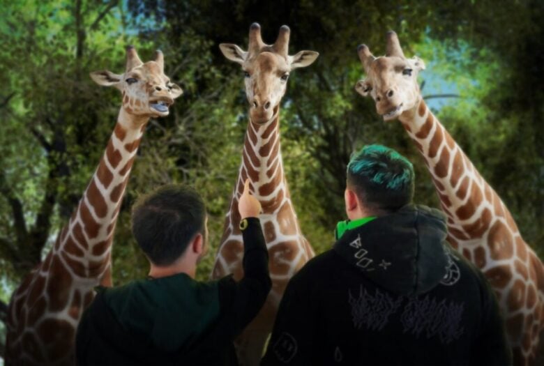 hologram-zoo-australia hologram-zoo-australia