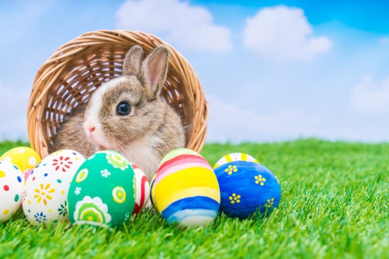 rabbit-easter-eggs-green-grass-with-blue-sky