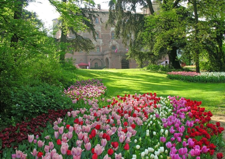 messer-tulipano-torino