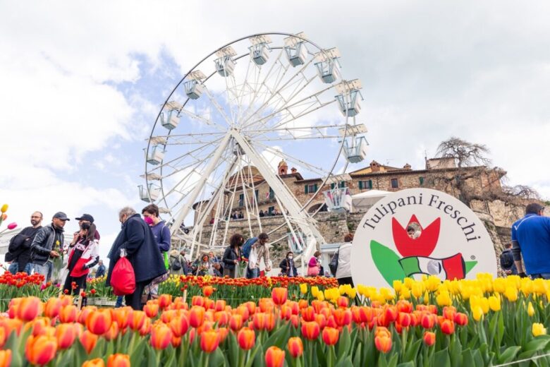 castiglione-del-lago-tulipani