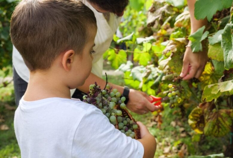 gran-tour-italia-bologna