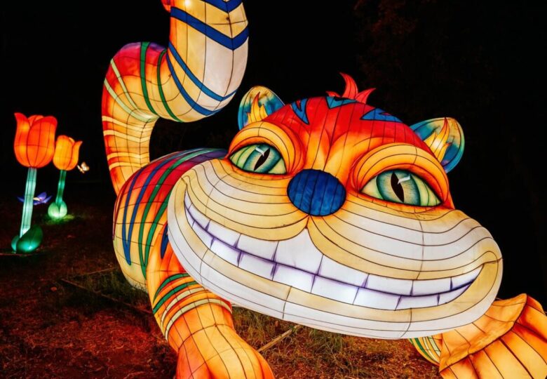 this-is-wonderland-alice