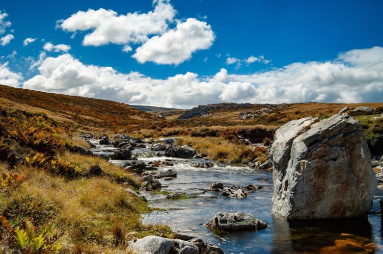 South,Atlantic,Falkland,Islands,Landscape,Photography