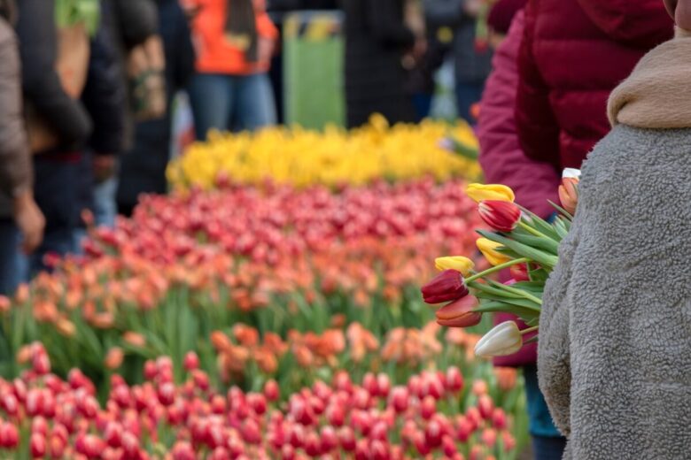 national-tulip-day-amsterdam national-tulip-day-amsterdam