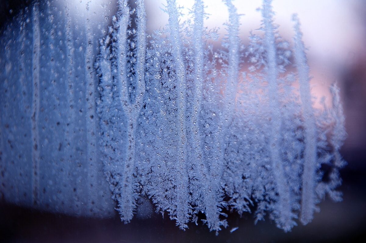 ice flowers, frost, window, cold, freeze, water, frozen, ice cream, ice crystals, nature, crystallize, glass pane, frost, frost, freeze, freeze, freeze, freeze, freeze, ice crystals