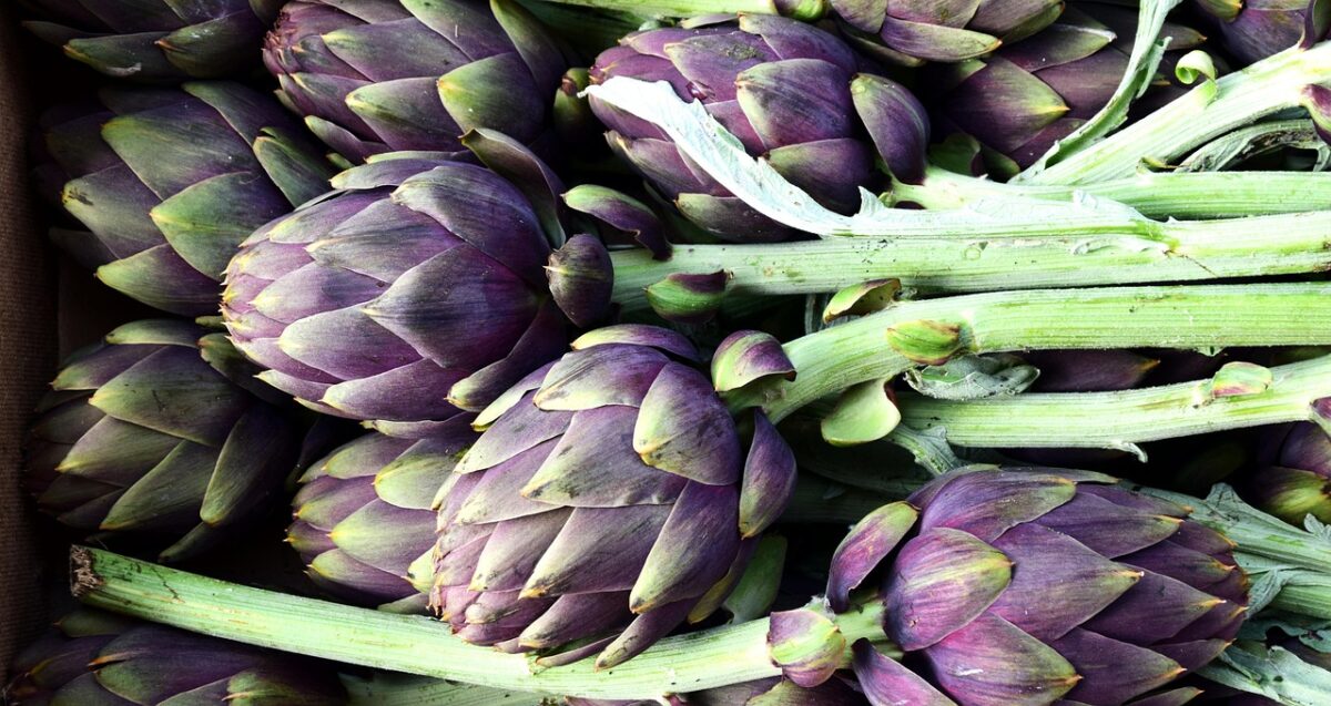 artichoke, vegetables, food, market, green, violet, artichoke flower, meal, vegetarian, vegetable market, fresh, fresh artichokes, mediterranean, mediterranean cuisine, edible, artichoke, artichoke, artichoke, artichoke, artichoke