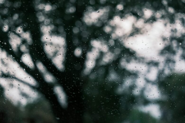 a tree is seen through a rain covered window