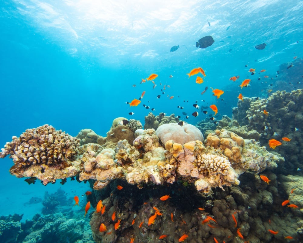 Acque del Marsa Alam Acque del Marsa Alam