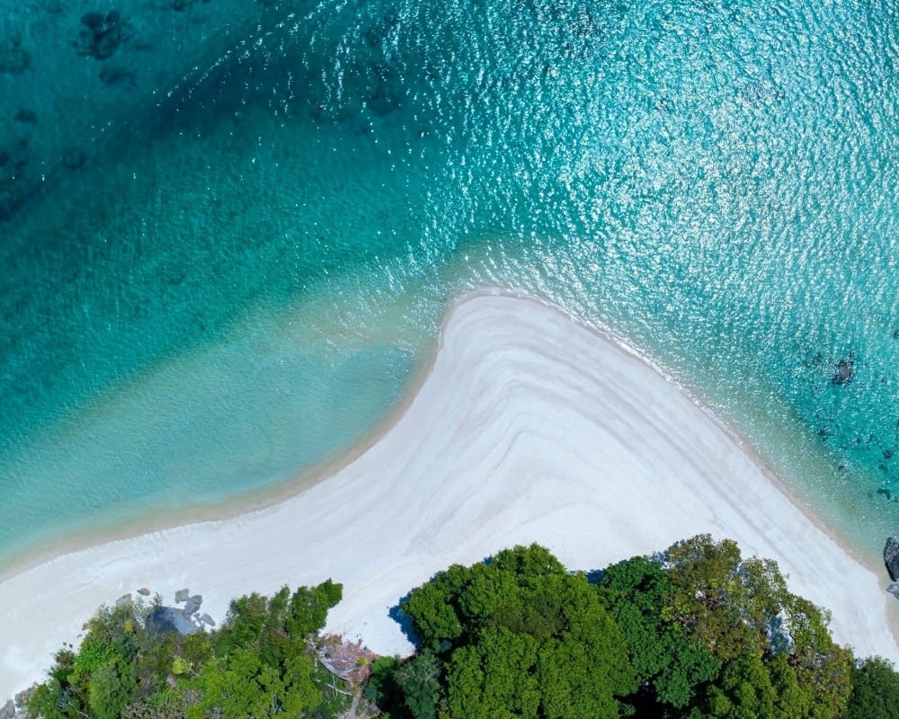 Acque del Palau, Pacifico Acque del Palau, Pacifico