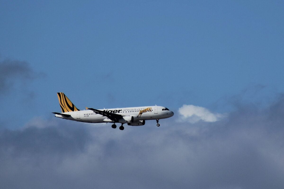 Compagnia, Aera Compagnia, Aera