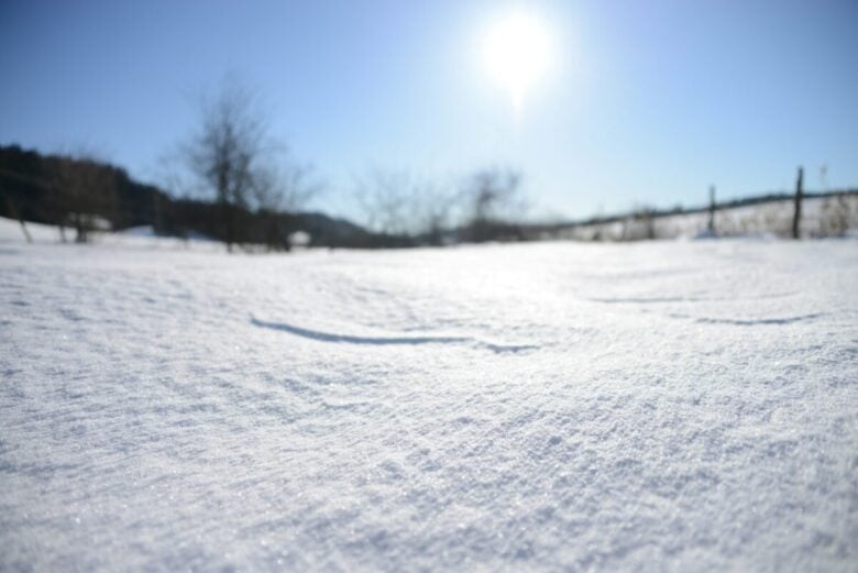 a snowy field with trees in the background