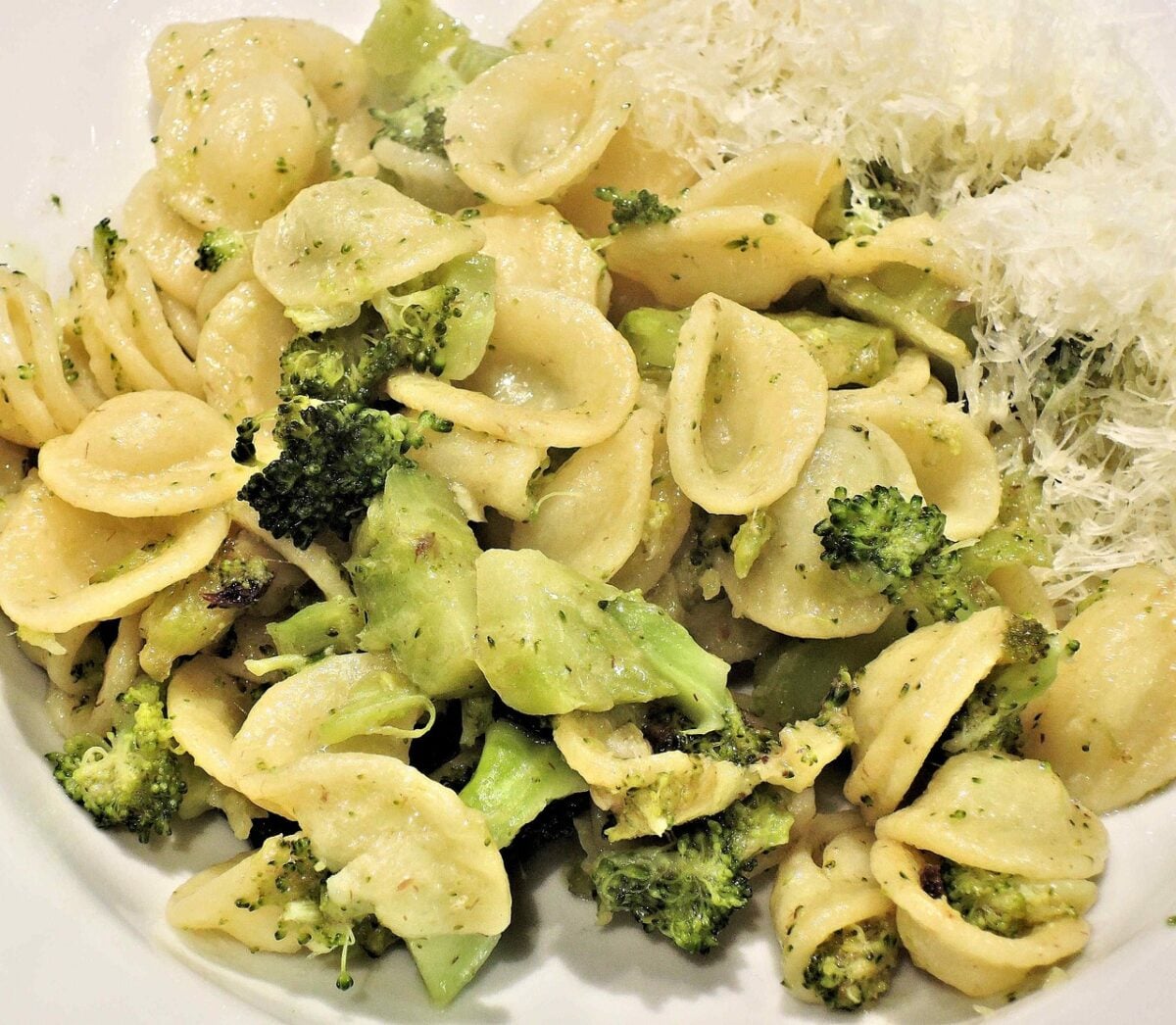 pasta, orecchiette, broccoli, anchovies, parmesan, food, pasta, orecchiette, orecchiette, orecchiette, orecchiette, orecchiette pasta, orecchiette, broccoli, anchovies, parmesan, food, pasta, orecchiette, orecchiette, orecchiette, orecchiette, orecchiette
