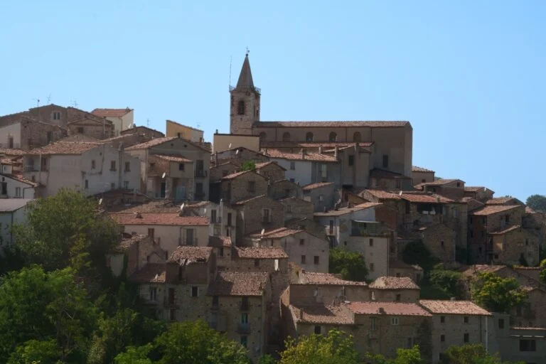 shutterstock-2423527773-768x512