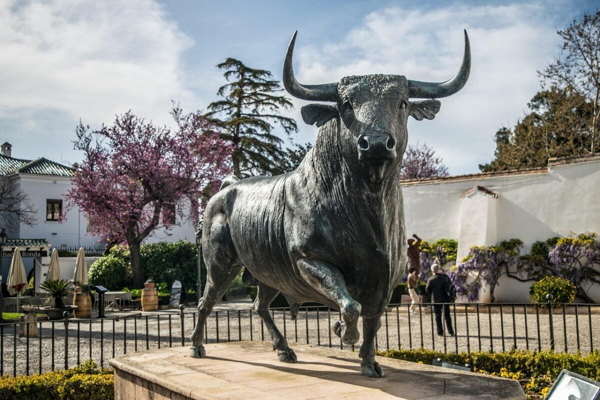 Toro, Spagna