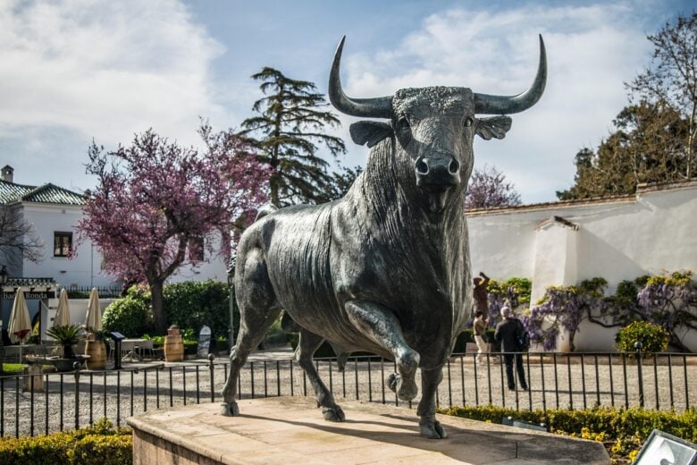 Toro, Spagna