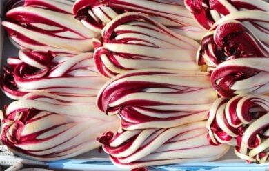 Festa del Radicchio Rosso 2025 di Dosson: dove e info