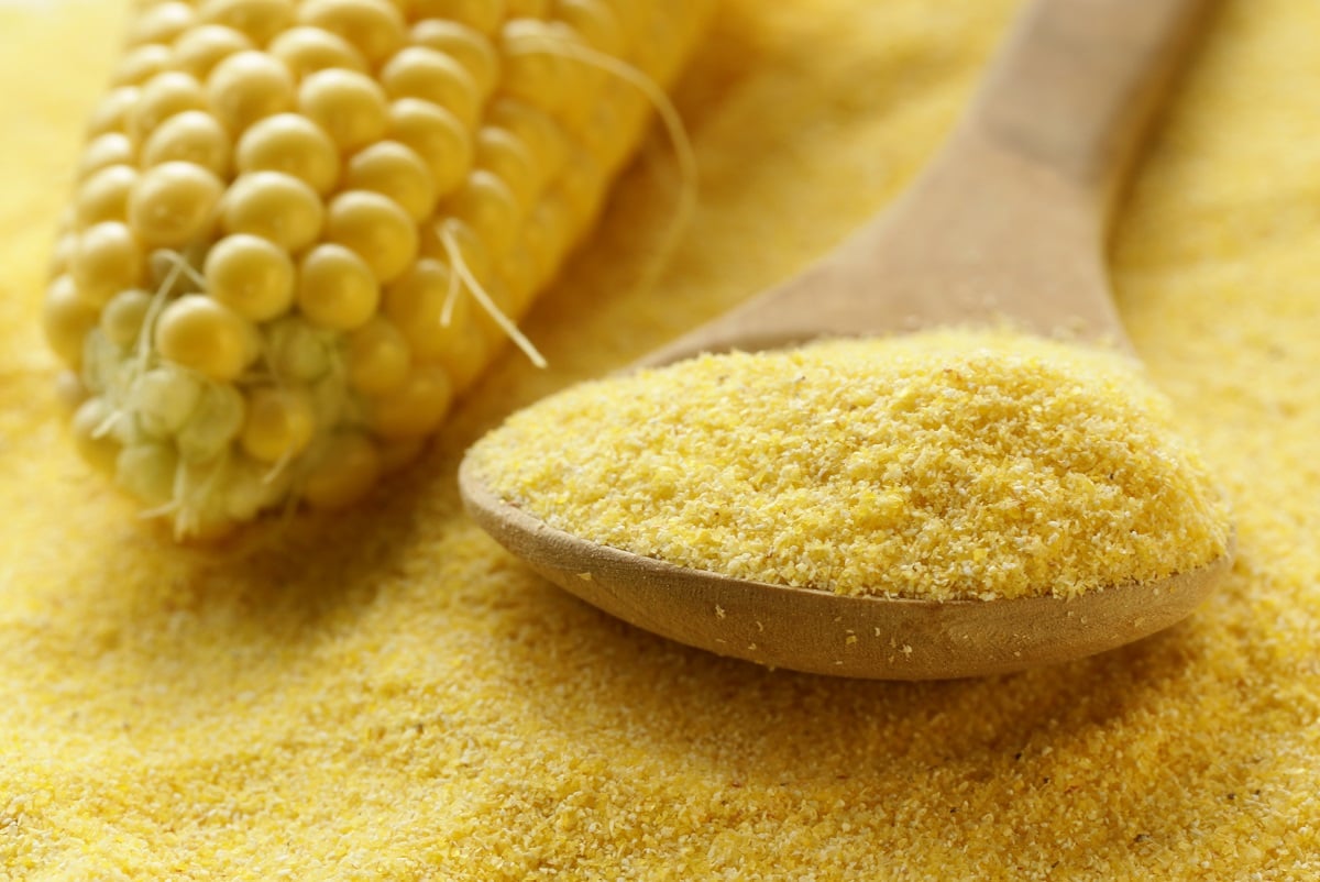 Sagra della Polenta 2026 di Vallinfreda: dove e quando