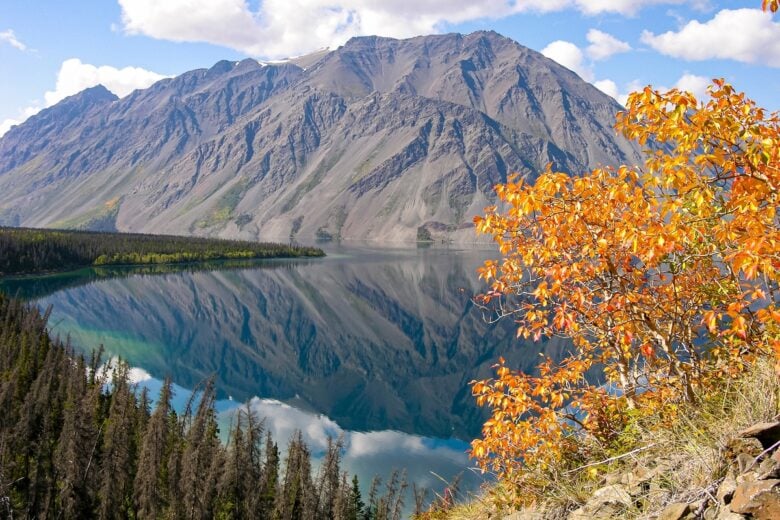 Kluane National Park