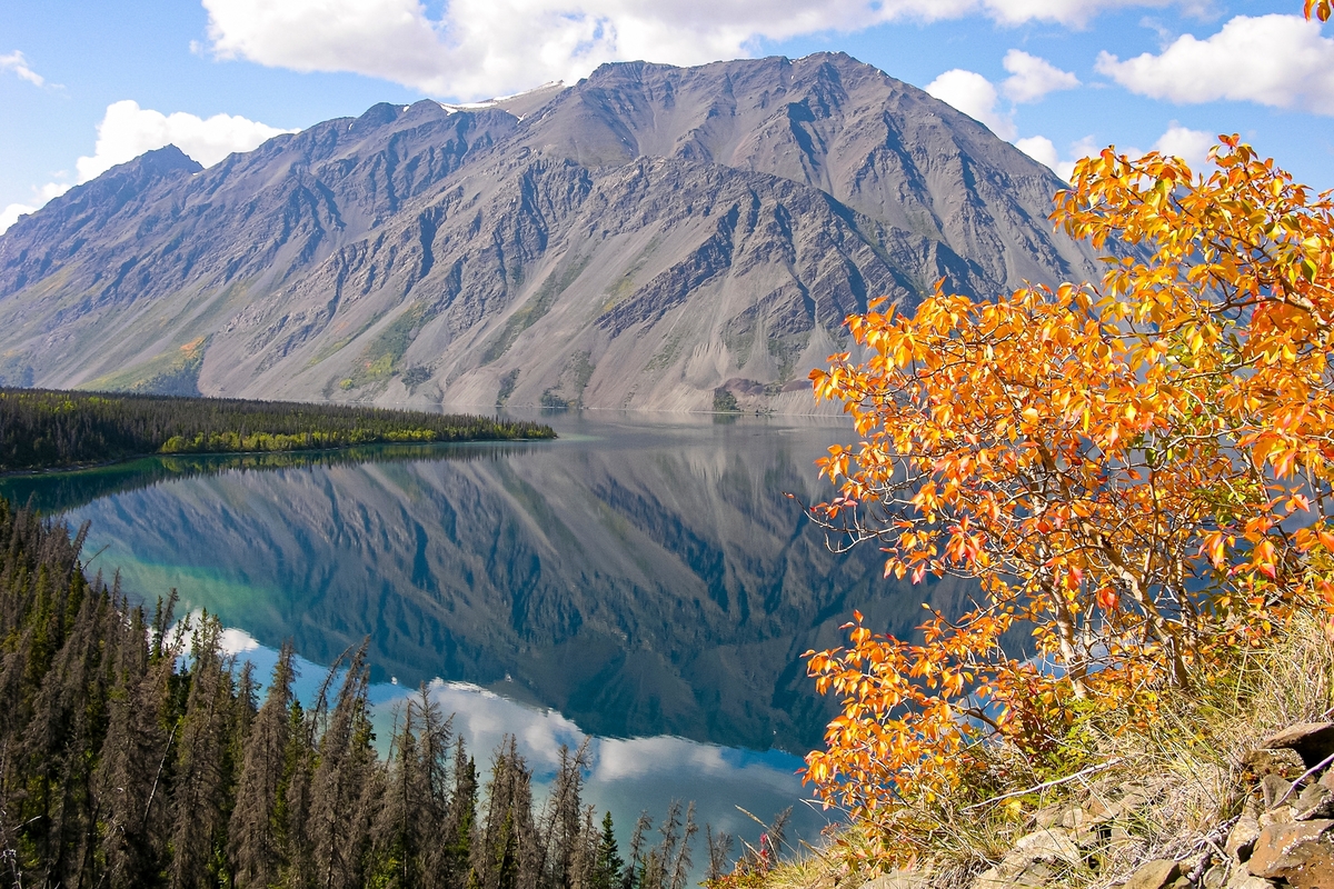 Kluane National Park