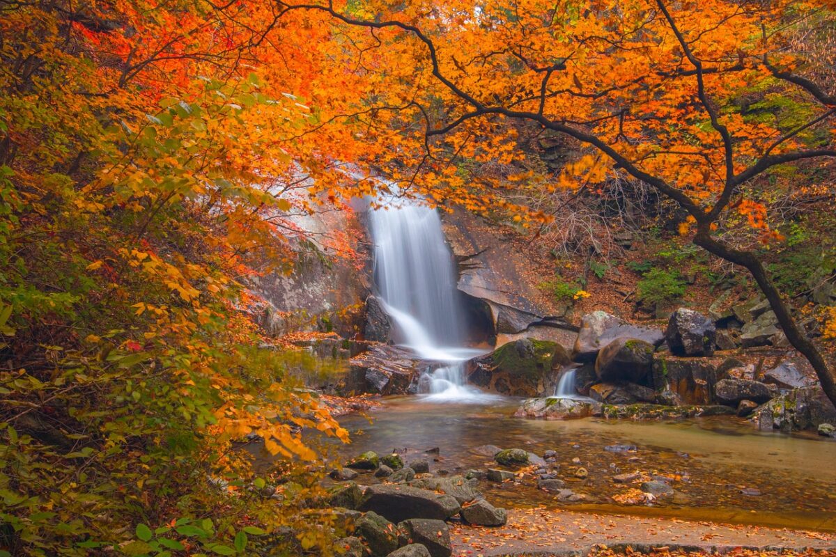 Cascata, Di