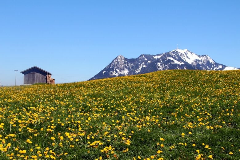 Alpi, Primavera
