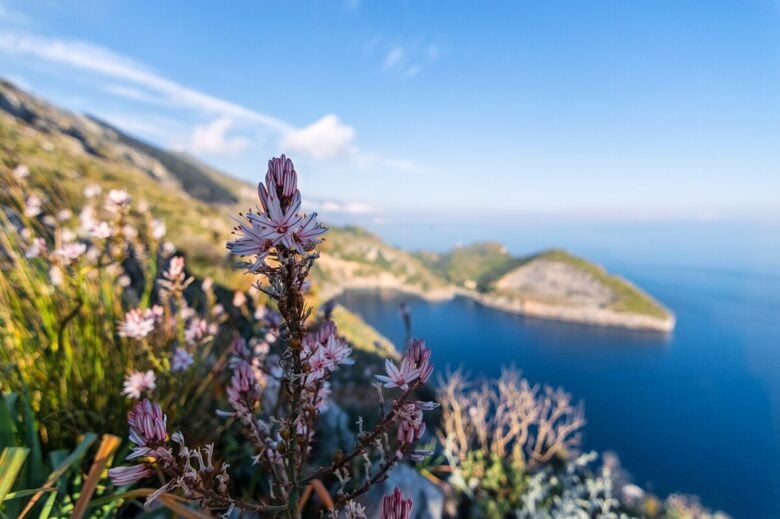 Area Marina Protetta di Punta Campanella