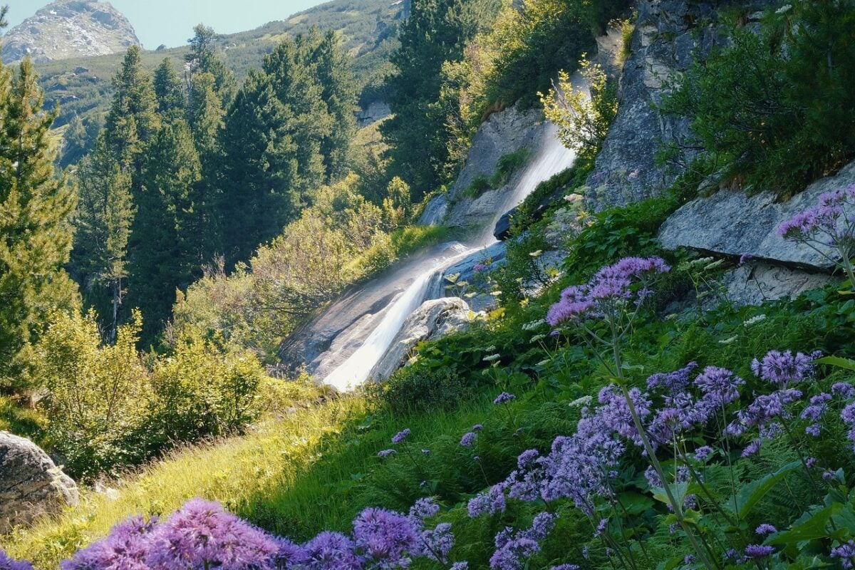 Cascata, Della