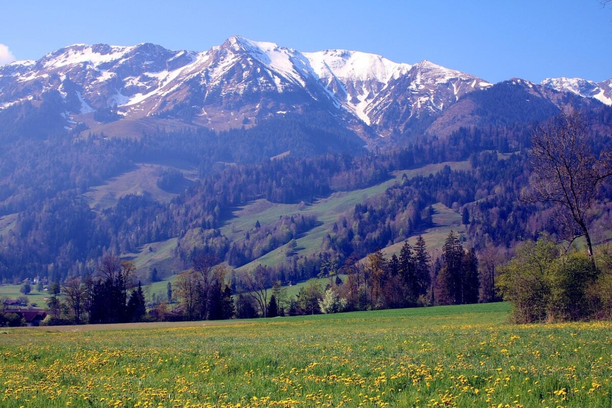 Montagna, Primavera