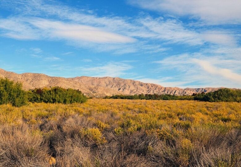 Morongo Valley
