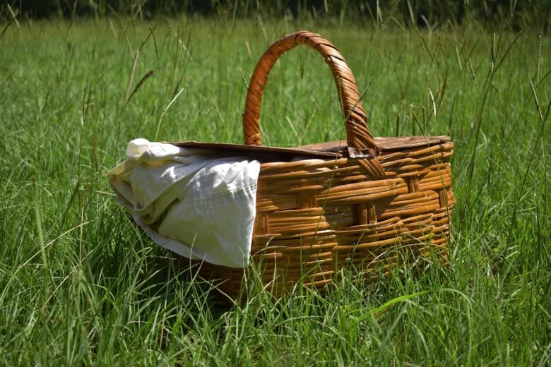 Picnic