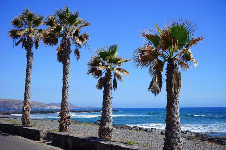 Playa, El