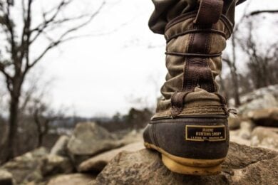 Trekking in Italia, non ovunque è sicuro: le zone dove il rischio vipere è più alto
