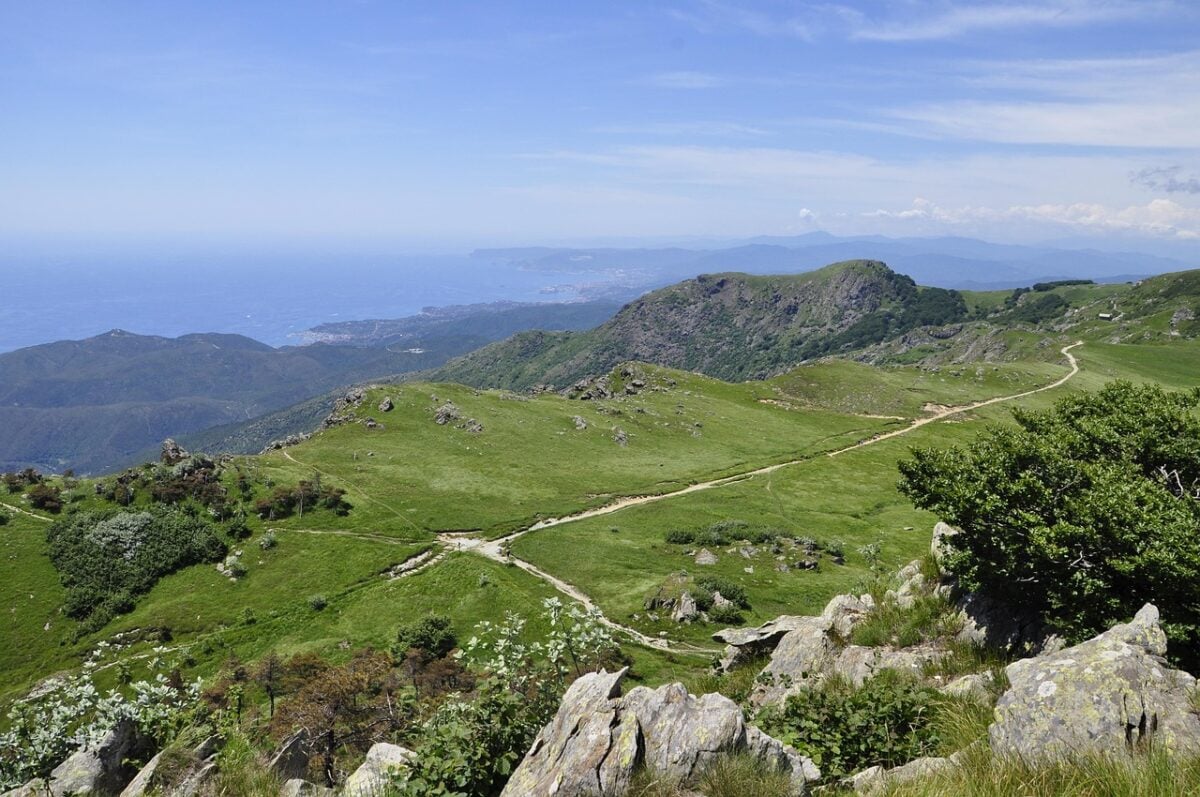4 anelli dei ripari